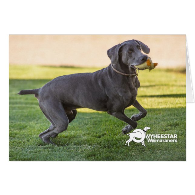 あなたの足を蹴って下さい (正面横)