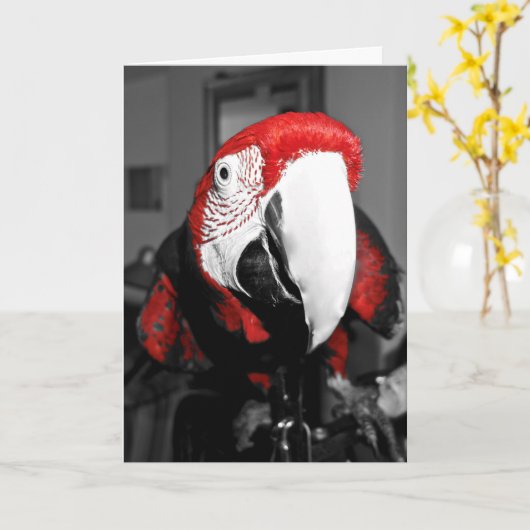 あなたの顔のハッピーバースデーカードのオウム カード (黄色い花)