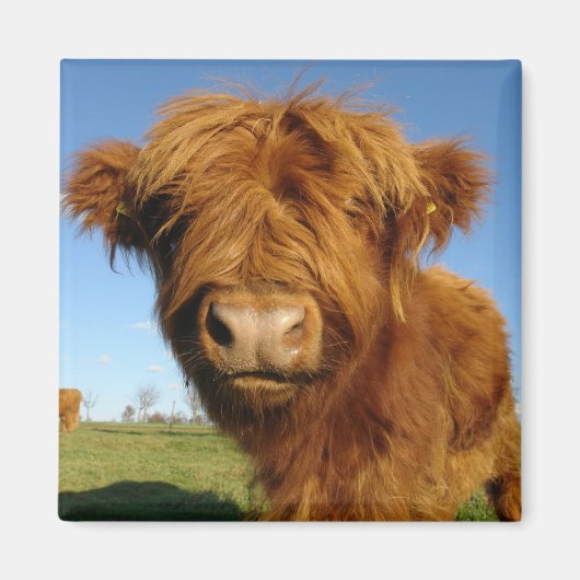 あなたの顔牛磁石で マグネット (正面)