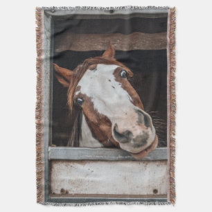 あなたの馬の写真 ポニー オーダーメイドの乗馬ギフト スローブランケット