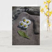 あなたの「デイジー」の考えること。 カード (黄色い花)