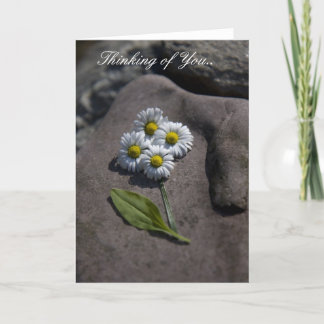 あなたの「デイジー」の考えること。 カード