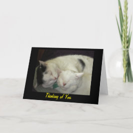 あなたのAllis及びAbbieの考えること挨拶状 カード