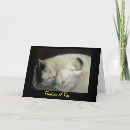 あなたのAllis及びAbbieの考えること挨拶状 カード (正面)