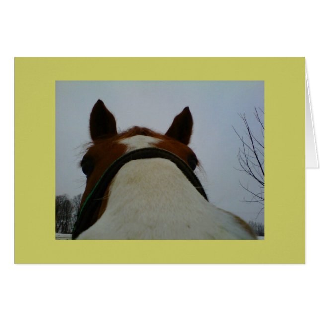 あなたのLookinは梳きます (正面横)