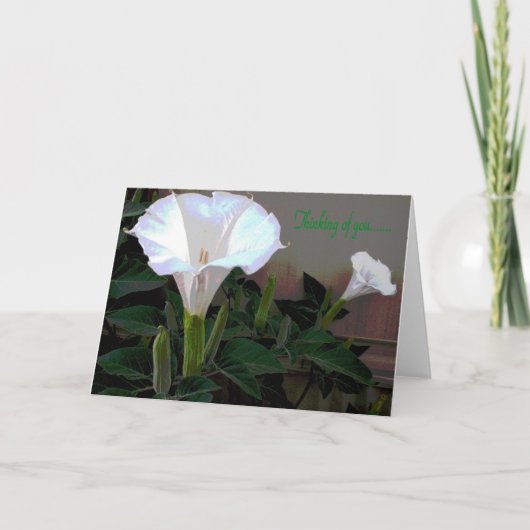 あなたのMoonflowerの考えること カード (正面)