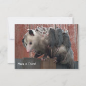 あなたのPossum Humorous Thinkingママは梳きます カード (裏面)
