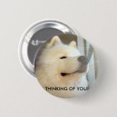 あなたのSamoyed犬のバッジの考えること! 標準サイズ 缶バッジ (正面&裏面)