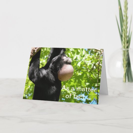 あなたのSiamangの考えることは梳きます カード (正面)