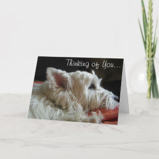 あなたのWestieの考えること写真の挨拶状 カード