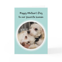 あなたはかわいいお気に入りの犬たち人間の母の日