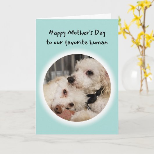 あなたはかわいいお気に入りの犬たち人間の母の日 カード (黄色い花)