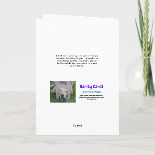 あなたはかわいい子お気に入りの猫たち人間の母の日 カード (裏面)