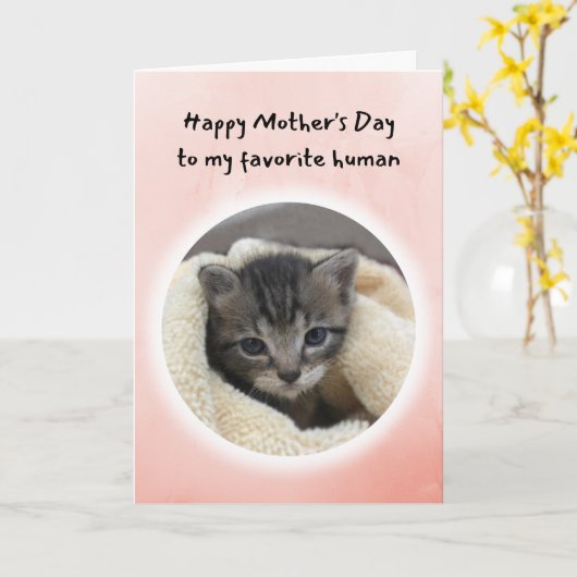 あなたはかわいい子お気に入りの猫たち人間の母の日 カード (黄色い花)