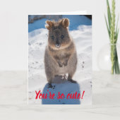 あなたはかわいいQuokka上のビーチバレンタイン カード (正面)