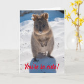 あなたはかわいいQuokka上のビーチバレンタイン カード (黄色い花)
