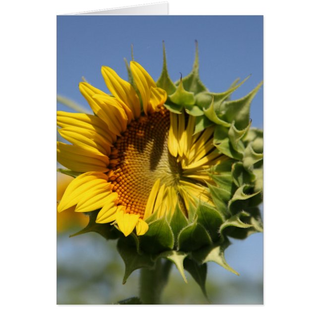 あなたはこれを行うことができる (正面)