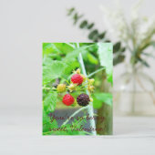 あなたはそうベリー甘いラズベリーバレンタイン シーズンポストカード (スタンド正面)