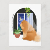 あなたはどこかでチョウのはがき ポストカード (正面)