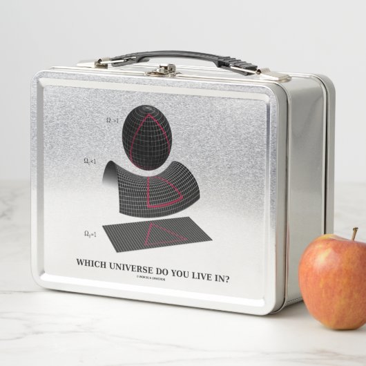 あなたはどの宇宙に住んでいますか。天体物理学 メタルランチボックス (インサイチュ)