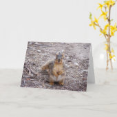 あなたはのナッツ カード (黄色い花)