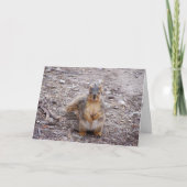 あなたはのナッツ カード (正面)