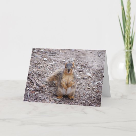 あなたはのナッツ カード (正面)