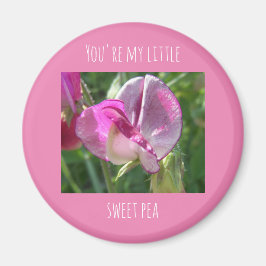 あなたはの小さなスイートピーの磁石 マグネット
