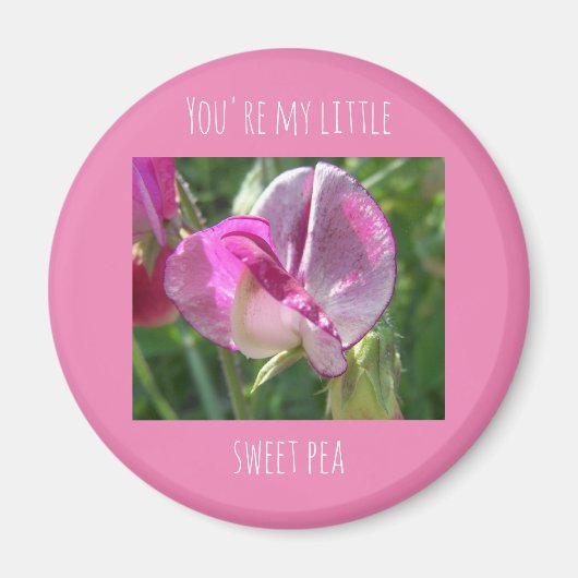 あなたはの小さなスイートピーの磁石 マグネット (正面)