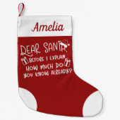 あなたはもう可愛いと思うおもしろい スモールクリスマスストッキング (正面)