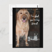 あなたはよかったよ! ポストカード (正面/裏面)