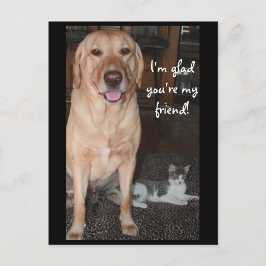 あなたはよかったよ! ポストカード (正面)