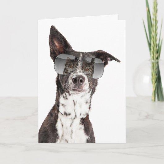 あなたはクールの猫親交カード カード (正面)