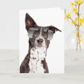 あなたはクールの猫親交カード カード (黄色い花)