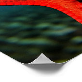 あなたはスーパースター! ポスター (角)