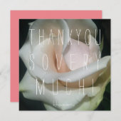 あなたはモモ! サンキューカード (正面/裏面)