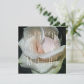 あなたはモモ! サンキューカード (スタンド正面)