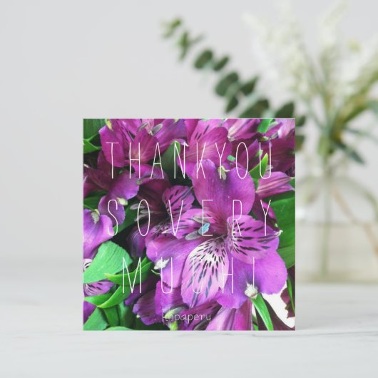 あなたはモモ! サンキューカード (スタンド正面)