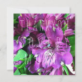 あなたはモモ! サンキューカード (正面)