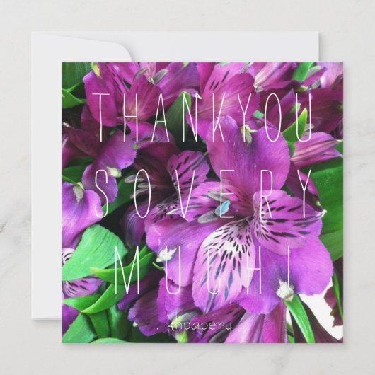 あなたはモモ! サンキューカード (正面)