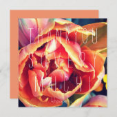 あなたはモモ! サンキューカード (正面/裏面)