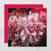 あなたはモモ! サンキューカード (正面/裏面)