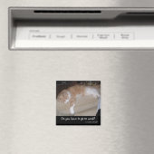 あなたは仕事に行かなければいけないの? マグネット (インサイチュ (食洗機))