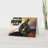 あなたは何歳？ カード (正面)