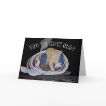 あなたは何歳？猫おもしろい誕生日カード