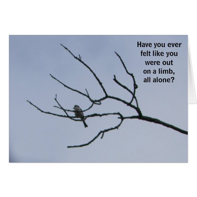 あなたは単独で (正面横)