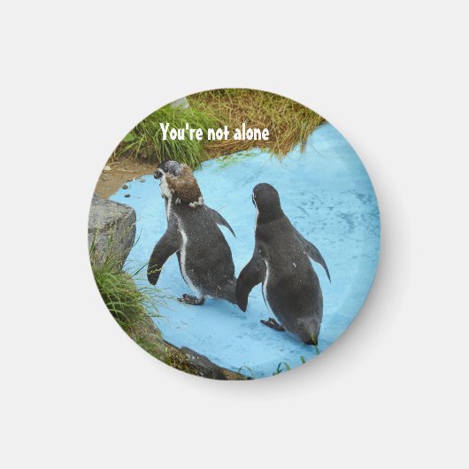 あなたは単独の磁石ではない マグネット (正面)