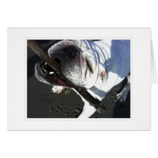 あなたは取って来ます