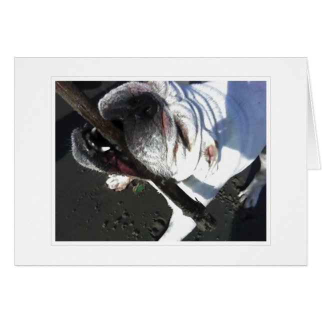 あなたは取って来ます (正面横)