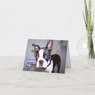 あなたは古いいかにか。! カード